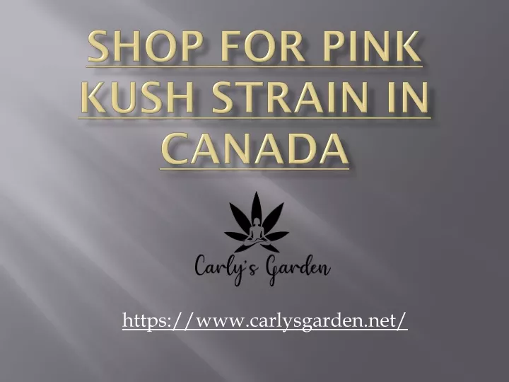 shop for pink kush strain in canada