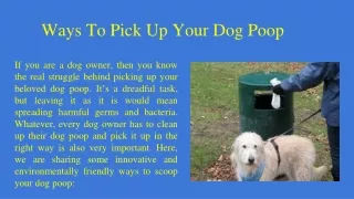 Ways To Pick Up Your Dog Poop