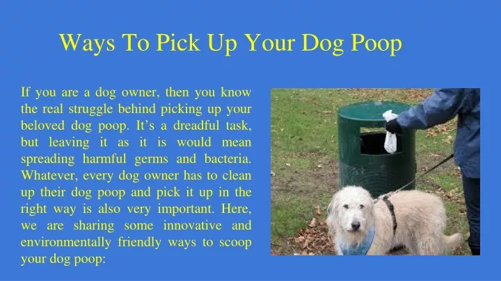 ways to pick up your dog poop