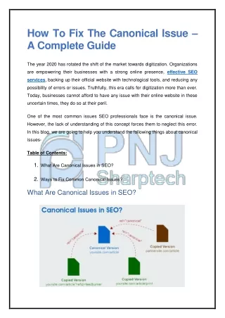 how to fix the canonical issue a complete guide