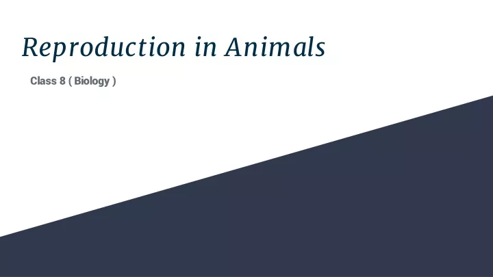 reproduction in animals