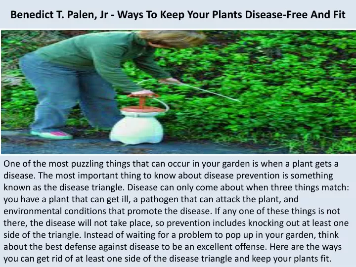 benedict t palen jr ways to keep your plants disease free and fit