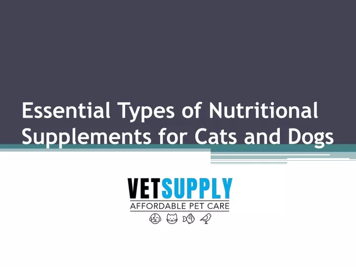 essential types of nutritional supplements for cats and dogs