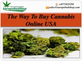 Why Be Aware When Buying Cannabis Online