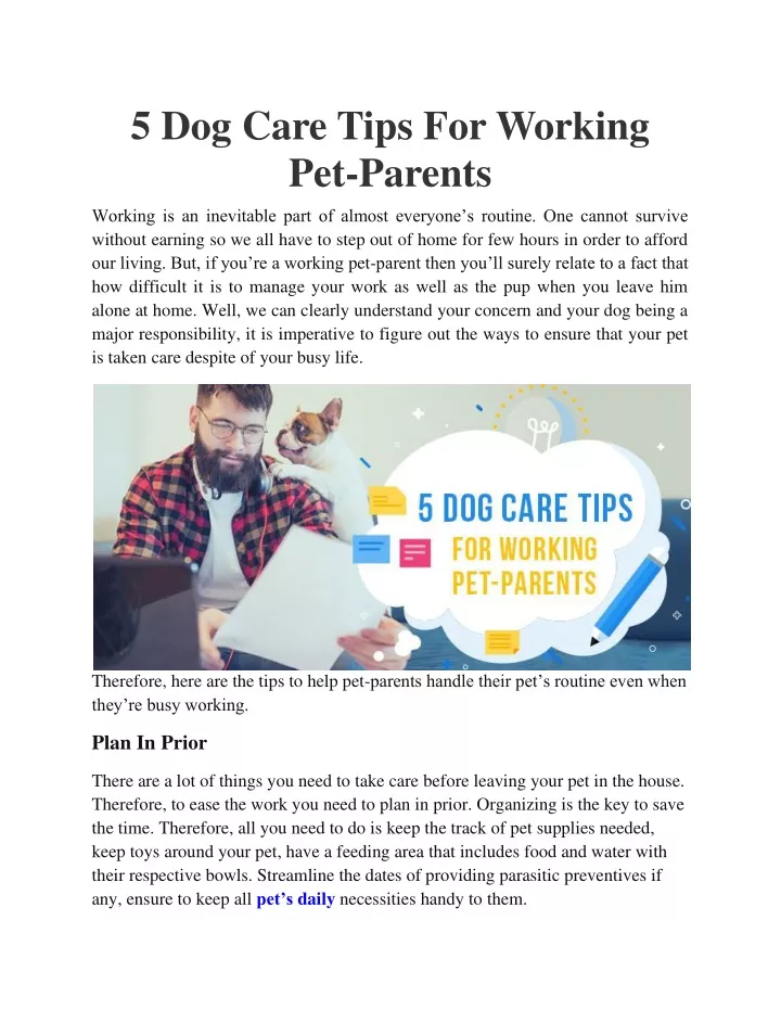 5 dog care tips for working pet parents