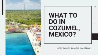 WHAT TO DO IN COZUMEL, MEXICO?
