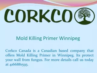 mold killing primer winnipeg