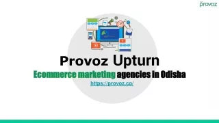Ecommerce marketing agencies in Odisha | Provoz