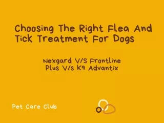 Choosing The Right Flea And Tick Treatment For Dogs - Nexgard Vs Frontline Plus Vs K9 Advantix