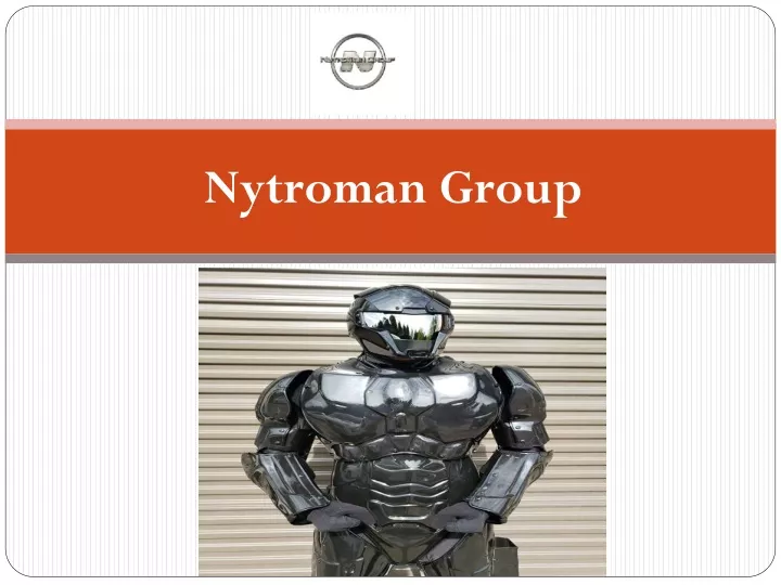 nytroman group