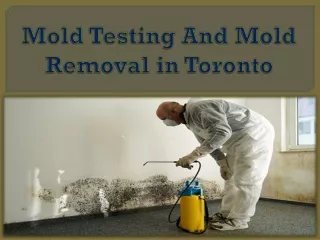 Mold Testing And Mold Removal in Toronto