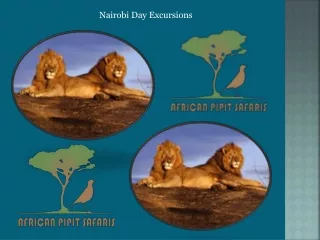 Nairobi Day Excursions