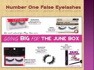 number one false eyelashes