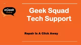 geek squad tech support
