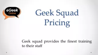 geek squad pricing