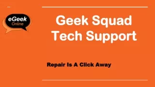 geek geek squad squad tech support tech support