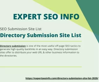 expert seo info
