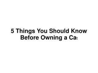 5 things you should know before owning a ca t