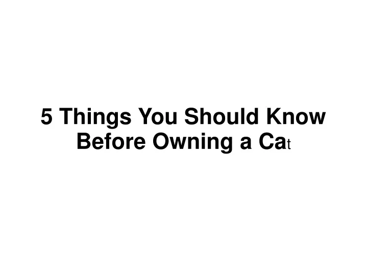 5 things you should know before owning a ca t