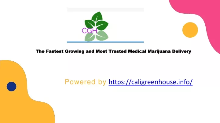 the fastest growing and most trusted medical marijuana delivery
