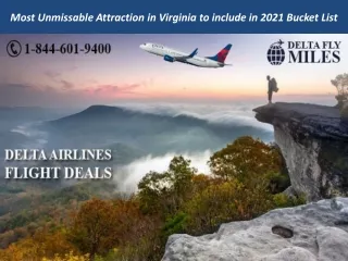 Most Unmissable Attraction in Virginia to include in 2021 Bucket List