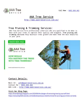 Tree pruning and trimming services