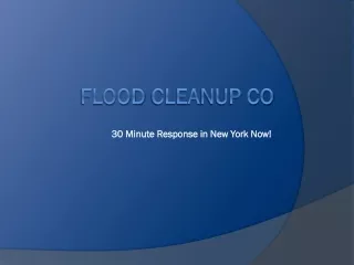 Flood Cleanup NYC - 30 Minutes Response Time For Water Removal in NYC