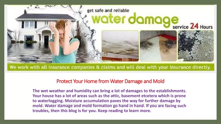 protect your home from water damage and mold