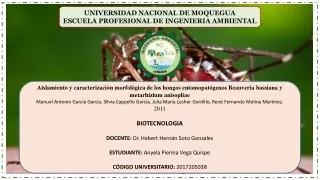 BIOINSECTICIDA