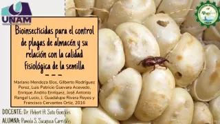 Bioinsecticida para el control de plagas de almacén y su relación con la calidad fisiológica de la semilla