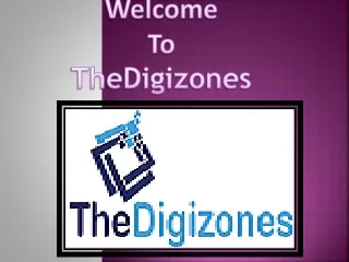 Professional SEO services | SEO services | TheDigizones