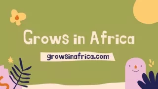 Africa Tea Exporter |  Grows in Africa