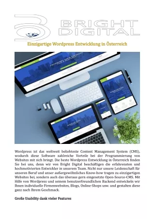einzigartige wordpress entwicklung in sterreich