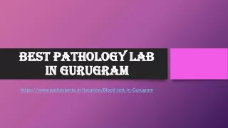 best pathology lab in gurugram