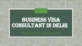 business visa consultant in delhi