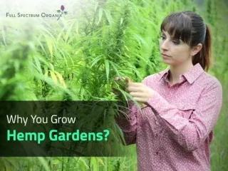 Why You Grow Hemp Gardens?