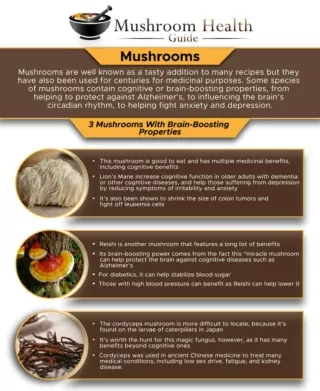Medicinal Mushrooms with Brain-Boosting Properties [Infographic]