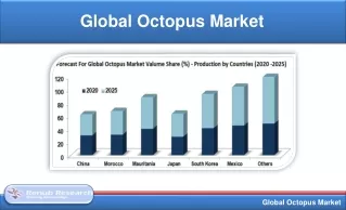 global octopus market