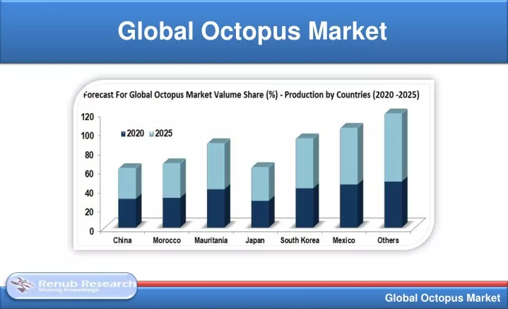 global octopus market