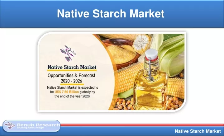 native starch market