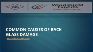 COMMON CAUSES OF BACK GLASS DAMAGE