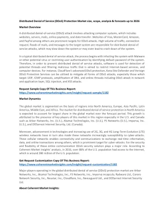 distributed denial of service ddos protection