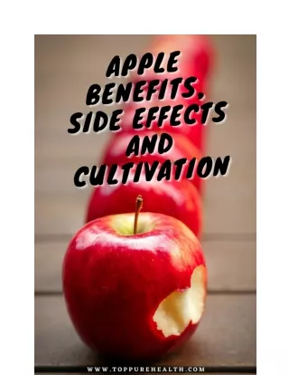 Apple benefits, side effects and cultivation