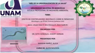 "EFECTO DE CONTROLADORES BIOLÓGICOS SOBRE EL NEMATODO"