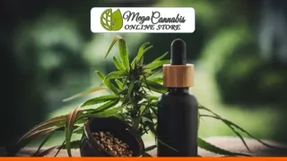 The Only Mega Cannabis Online Store Resources You Will Ever Need