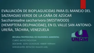 EVALUACION DE BIOPLAGUICIDAS PARA EL MANEJO DEL SALTAHOJAS