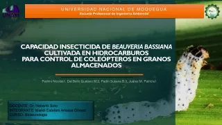 universidad nacional de moquegua escuela