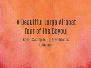 A Beautiful Large Airboat Tour of the Bayou!