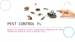 pest control fl