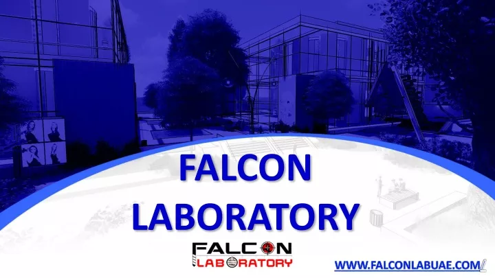 falcon laboratory
